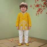 Boys Georgette Embroidered Sherwani & Trouser Set with Traditional Motifs Mustard