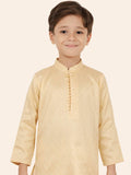 Fawn Boys Chanderi Silk Kurta Set with Pyjama